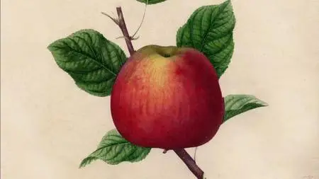 PBS - The Botany of Desire (2009)