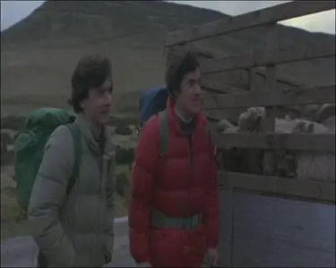 An American Werewolf In London (1981)