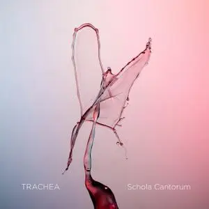 Schola Cantorum & Tone Bianca Sparre Dahl - Trachea (2019) [Official Digital Download 24/176]