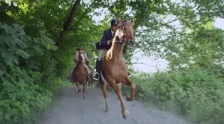 Midnight Stallion (2013)