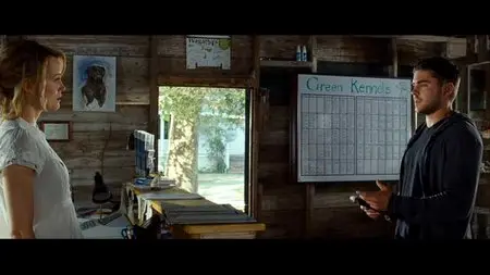 The Lucky One (2012)