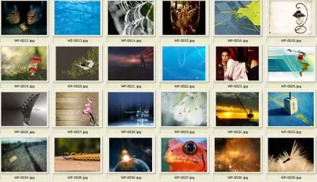 Mixed Wallpapers 5