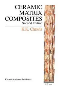 Ceramic Matrix Composites: Second Edition