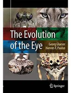 The Evolution of the Eye [Repost]