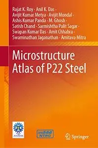Microstructure Atlas of P22 Steel (Repost)