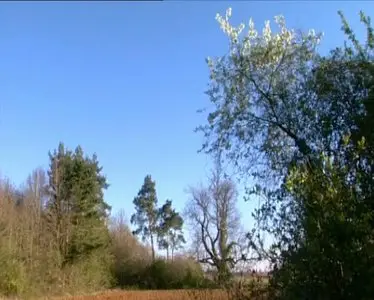 L'écureuil Génie des arbres (2005)