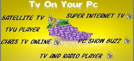 TV on PC
