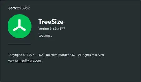 TreeSize Professional 8.6.0.1761 (x64) Multilingual + Portable