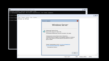 Windows Server, version 20H2 Build 19042.1348