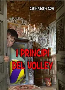 I PRINCIPI DEL VOLLEY