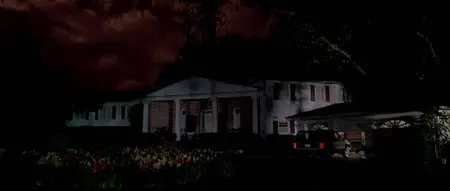 Cape Fear (1991)