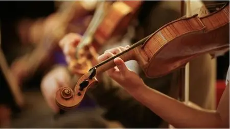 Udemy - Learn the Violin - Scales and Fundamentals