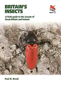 Britain's Insects: A Field Guide to the Insects of Great Britain and Ireland