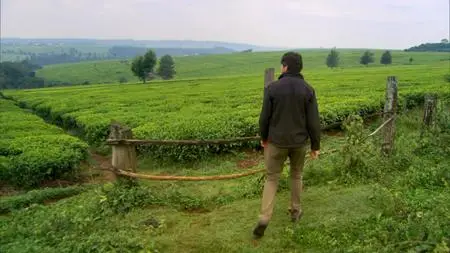 BBC This World - The Tea Trail (2014)