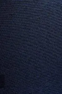 Thesaurus Cultus et Rituum Antiquorum Volume I: Processions, Sacrifices, Libation, Fumigations, Dedications