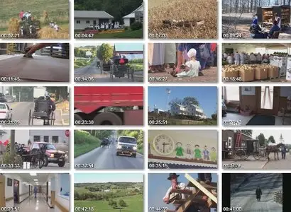 Amish: How They Survive 