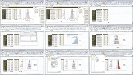 Udemy - Dashboard Designing and Interactive Charts in Excel