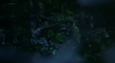 A Chinese Ghost Story (1987)