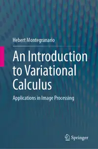 An Introduction to Variational Calculus