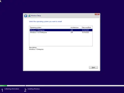 Windows 11 Enterprise/Iot Enterprise 25H2 Build 26200.6899 (No TPM Required) Multilingual Preactivated October 2025