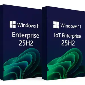 Windows 11 Enterprise/Iot Enterprise 25H2 Build 26200.6899 (No TPM Required) Multilingual Preactivated October 2025