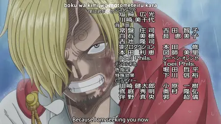 One Piece 813