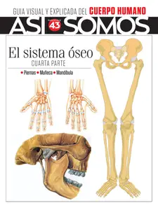 Así Somos El cuerpo humano - Fascículo 10 2024