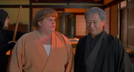 Beverly Hills Ninja (1997)