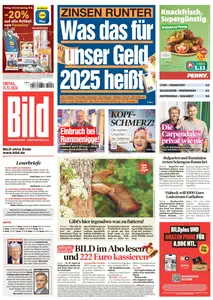 Bild - 13 Dezember 2024