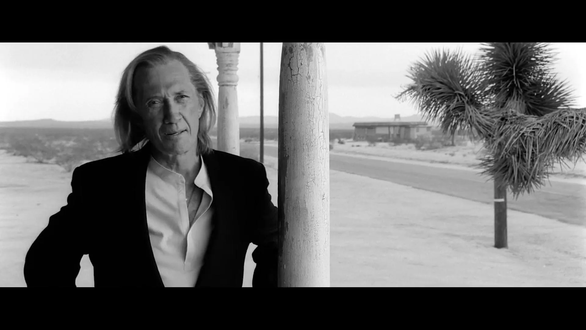 Kill Bill: The Whole Bloody Affair (2011)