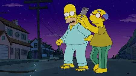 Die Simpsons S35E06