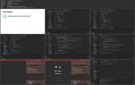 Using Vite with React