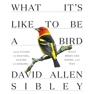 What It's Like to Be a Bird: From Flying to Nesting, Eating to Singing: What Birds Are Doing, and Why (Sibley Guides)