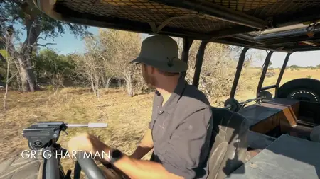 Big Cats S02E02