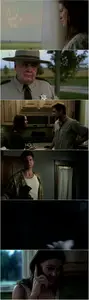 Fertile Ground (2011)