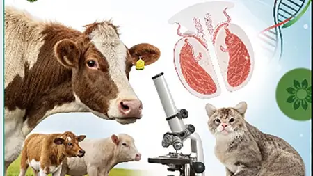 Animal Reproduction: Anatomy, Physiology, And Biotechnology