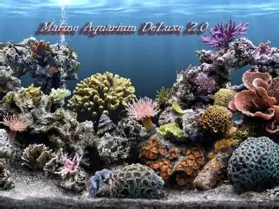 SereneScreen Marine Aquarium DeLuxe 2.0 + Serial