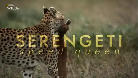 NG. - Serengeti Speed Queen (2021)