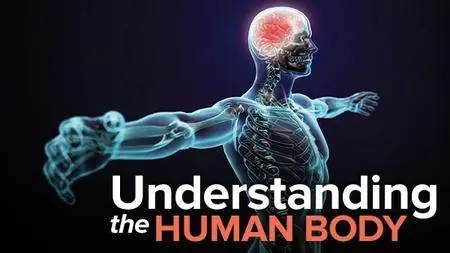 Understanding the Human Body: An Introduction to Anatomy and Physiology, 2nd Edition