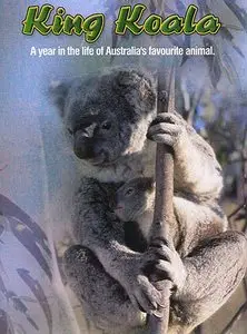 Australian Geographic - King Koala (1996)