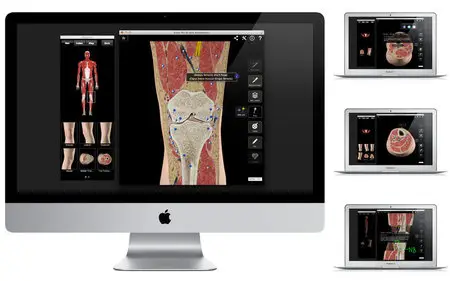 Knee Pro III with Animations v3.2.2 Mac OS X