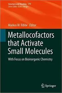 Metallocofactors that Activate Small Molecules: With Focus on Bioinorganic Chemistry