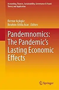 Pandemnomics: The Pandemic's Lasting Economic Effects