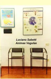 Animae Vagulae