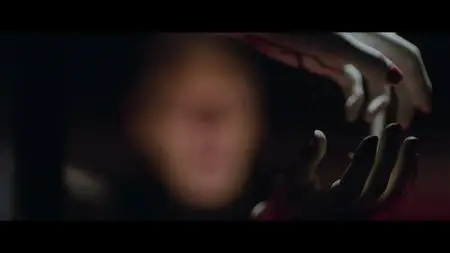 In Fabric (2019)