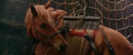 Phar Lap (1983)