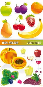 Stock Vector - Juicy Fruit