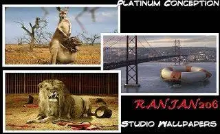 Platinum Conception Studio Wallpapers