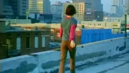 Wim Wenders-Land of Plenty (2004)