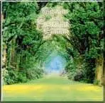 Kevin kern - Full Albums - Discography [ 8 CDs ]